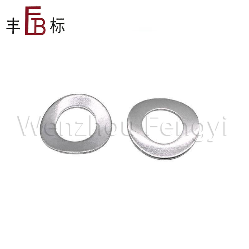 DIN 137A Stainless Steel Black Curved Spring Washers