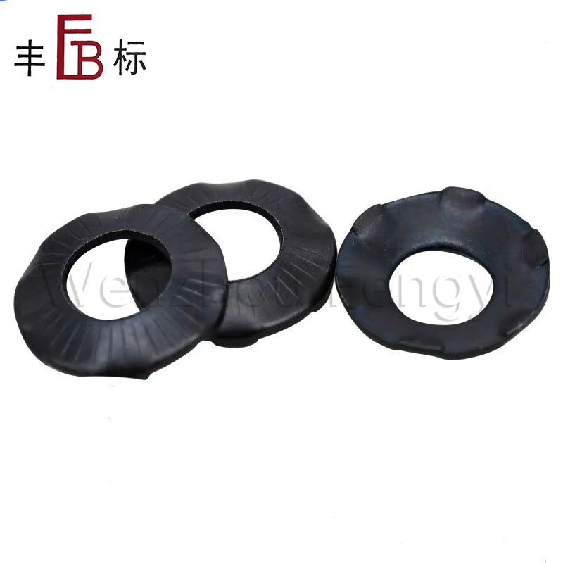 DIN 6795 Black Grounding Washers